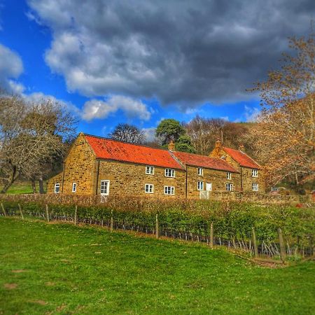 Park House Bed & Breakfast Ingleby Arncliffe Luaran gambar