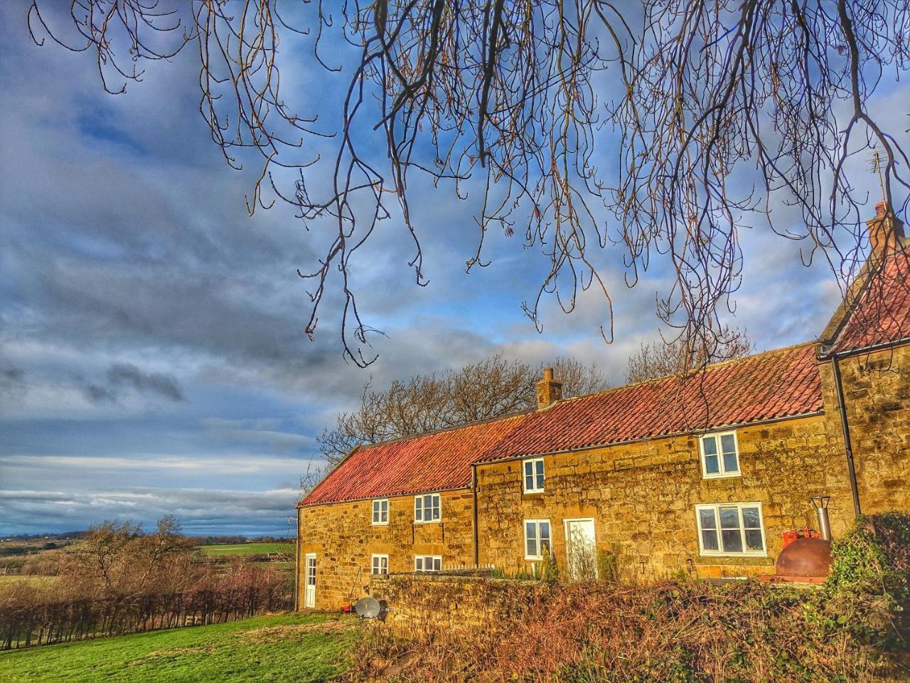 Park House Bed & Breakfast Ingleby Arncliffe Luaran gambar