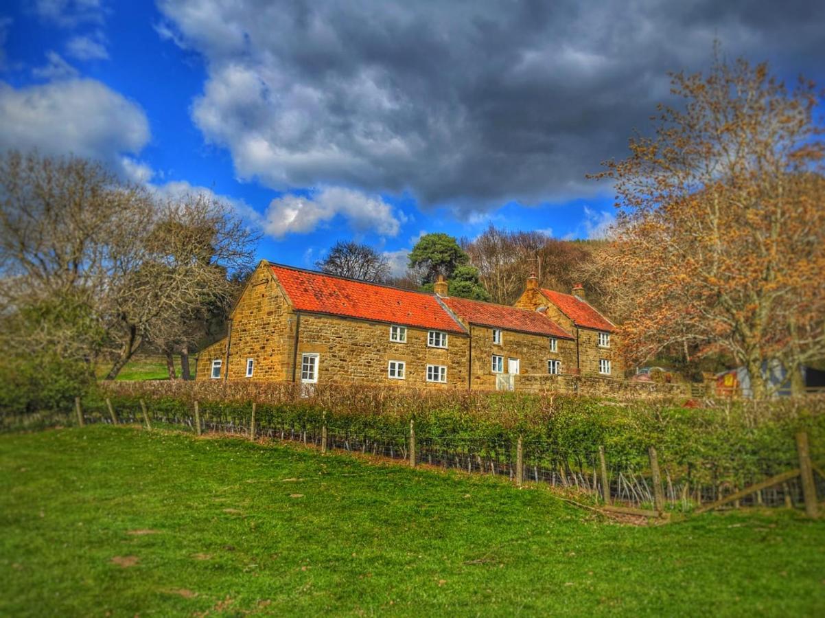 Park House Bed & Breakfast Ingleby Arncliffe Luaran gambar